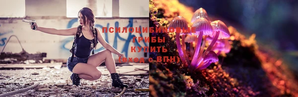 каннабис Баксан