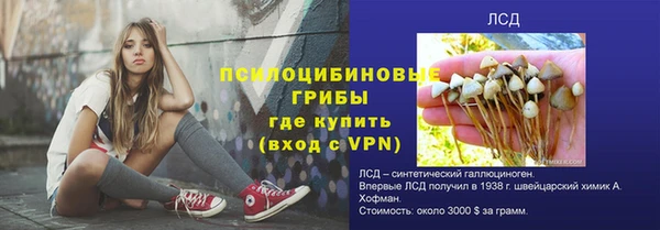 ALPHA-PVP Аркадак