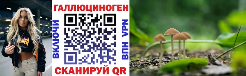 Галлюциногенные грибы мухоморы Сортавала